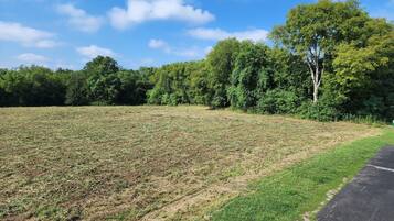 A field with a paved path alongside it.