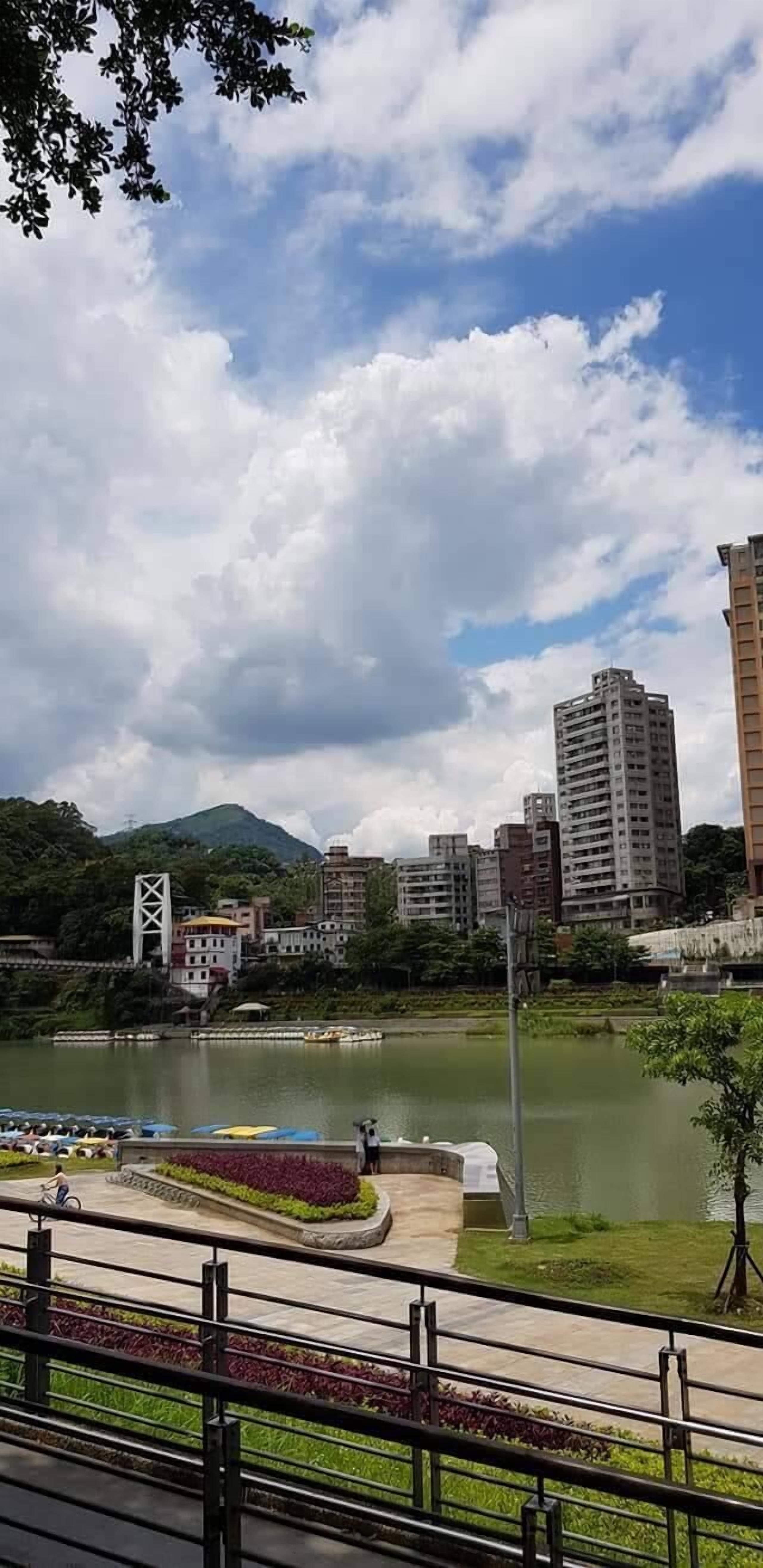 A park with a lake, a bridge, and buildings in the background.