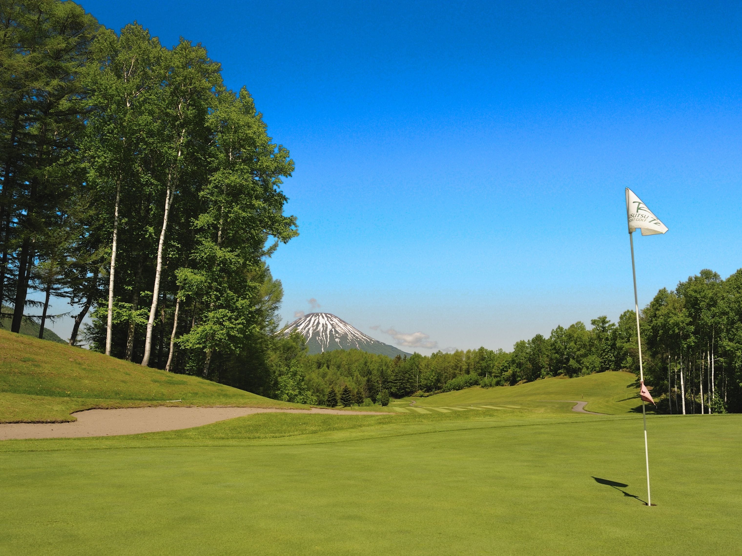 A golf course with a flag, trees, and a mountain in the background.