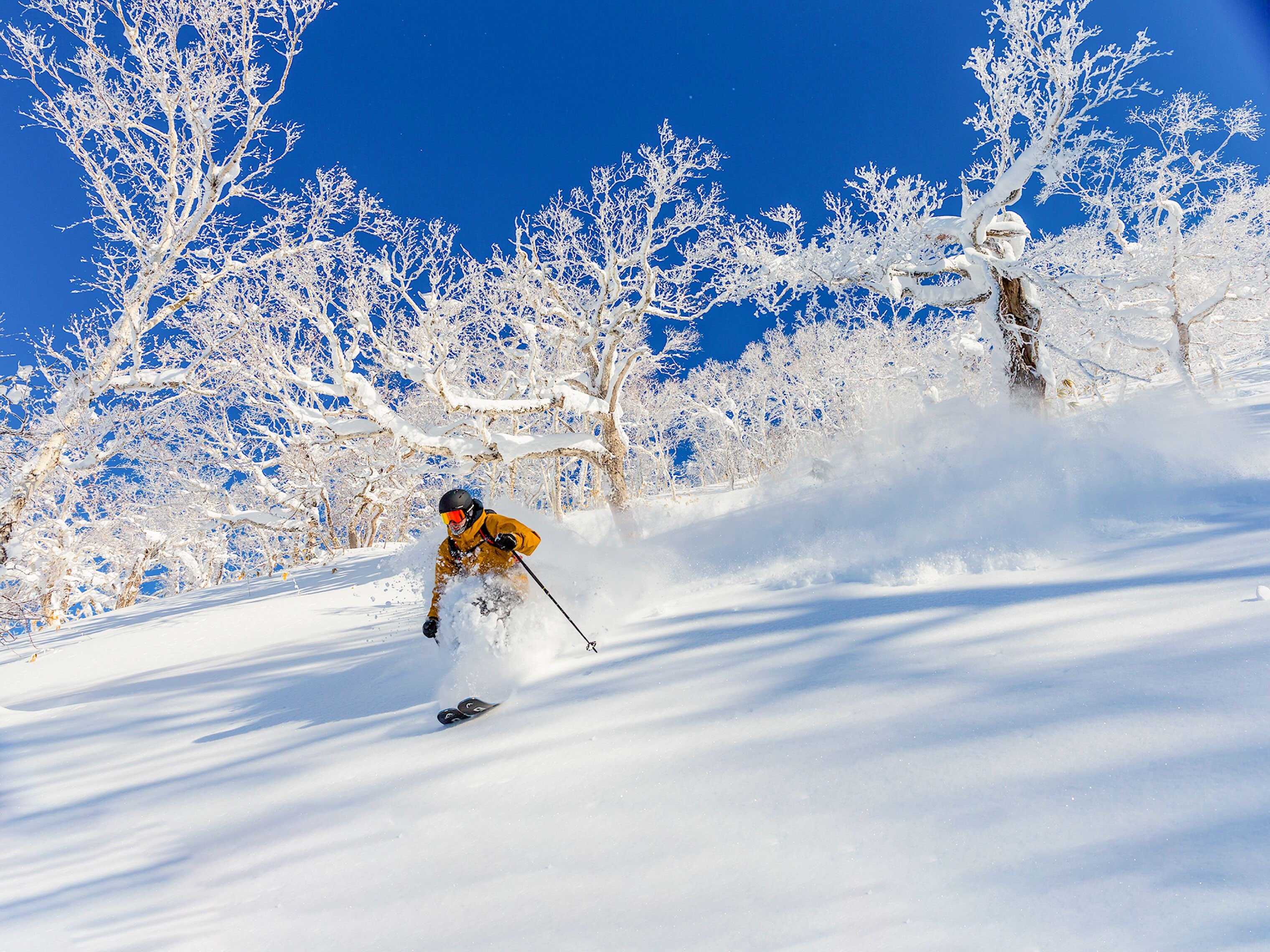 A snowy landscape with a skier in motion.