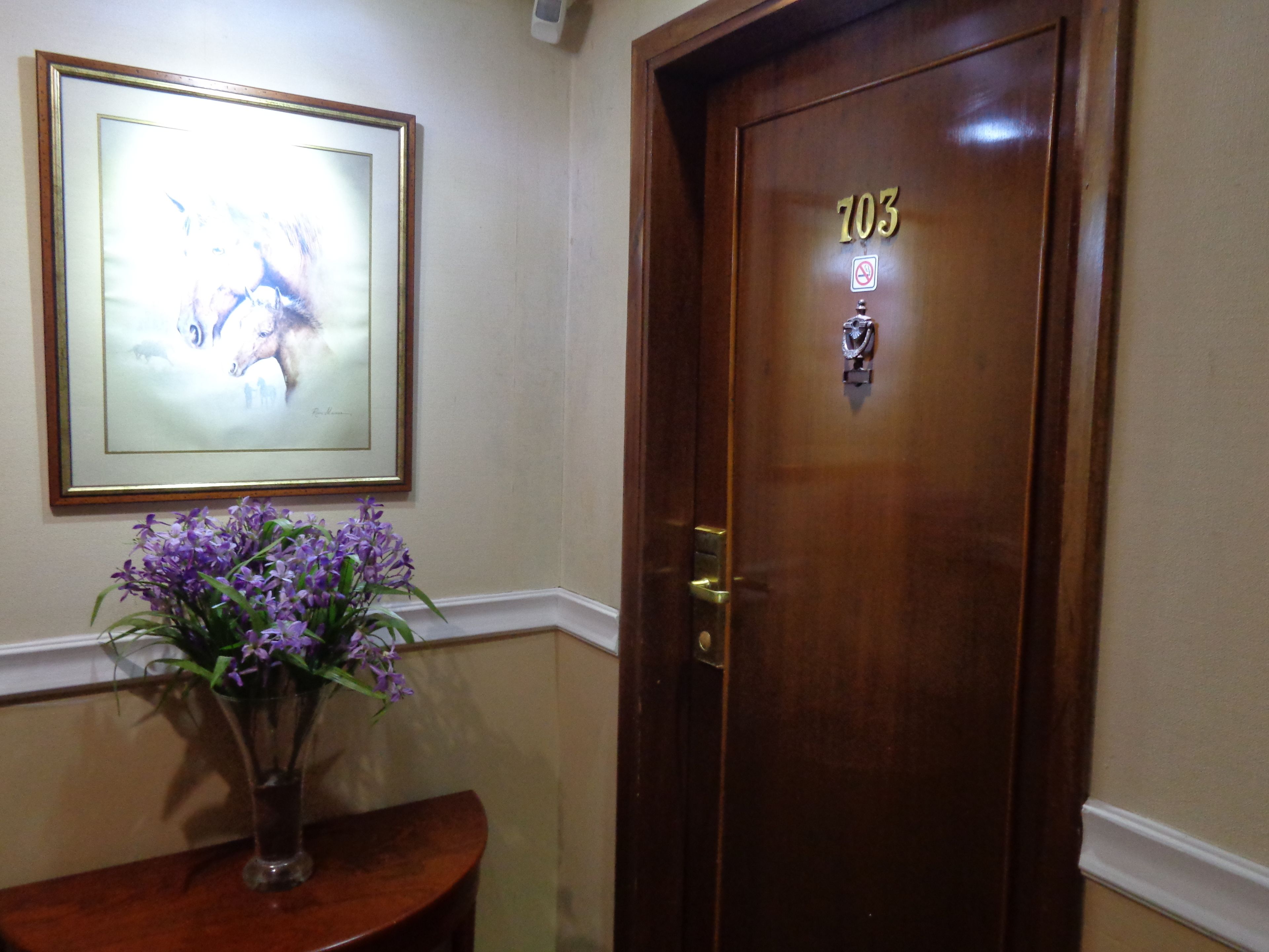 Photo - Nobile Hotel Premier Hill