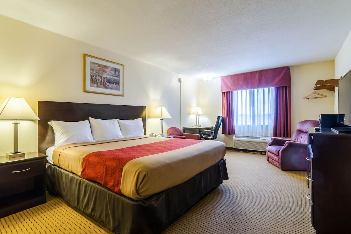 Standard Room, 1 King Bed, Non Smoking