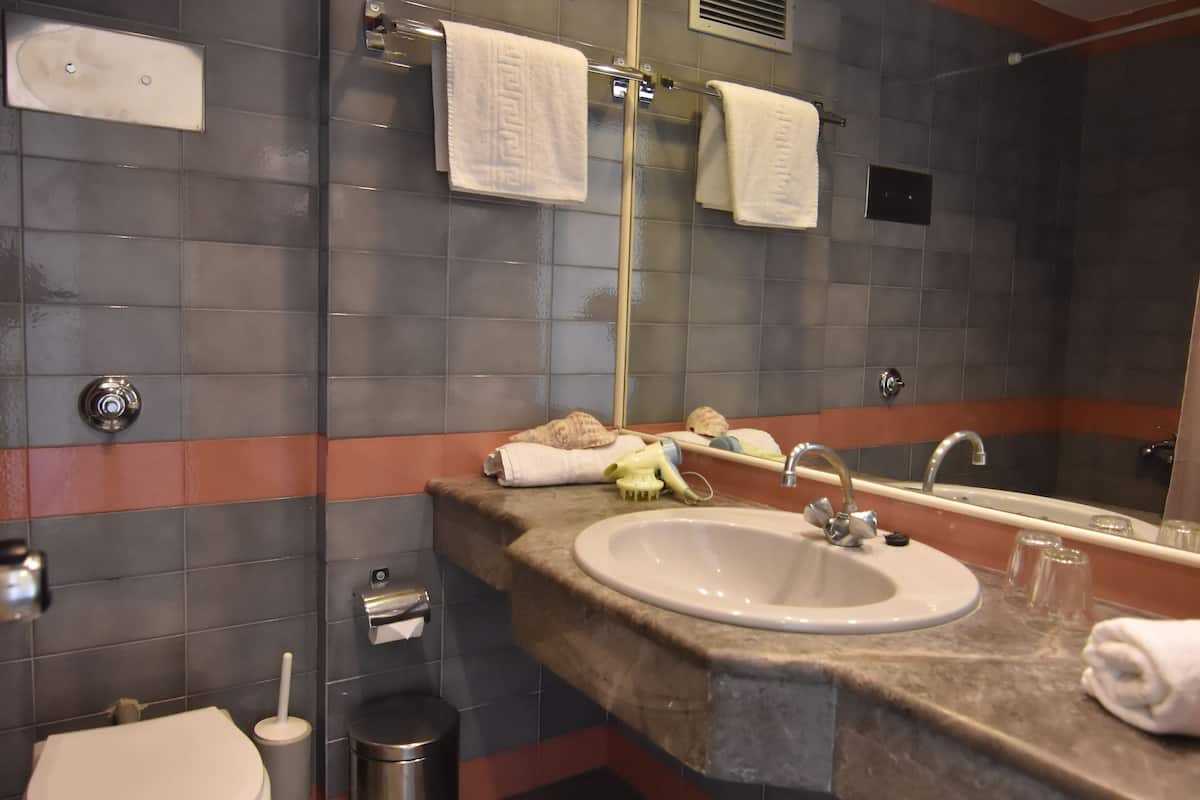 standard double room | bathroom | free toiletries, hair dryer, towels