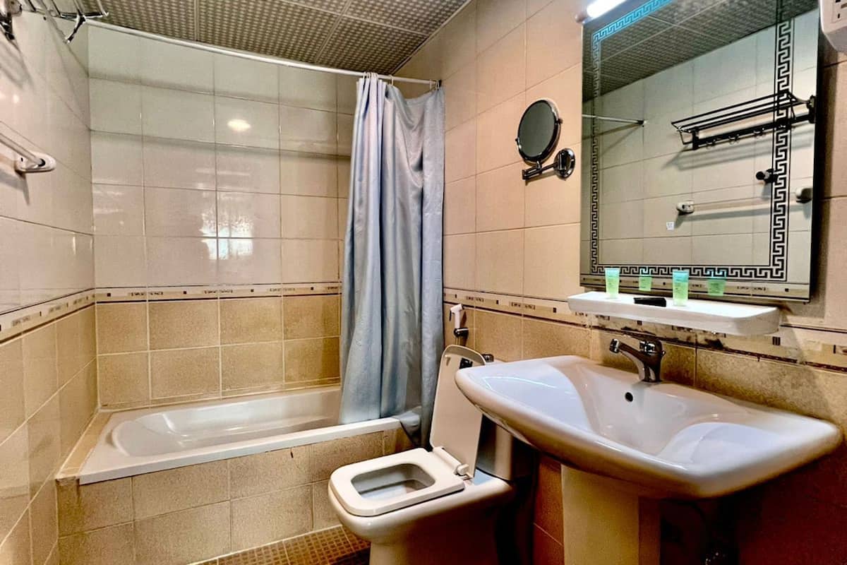 standard double room | bathroom | shower, towels, toilet paper
