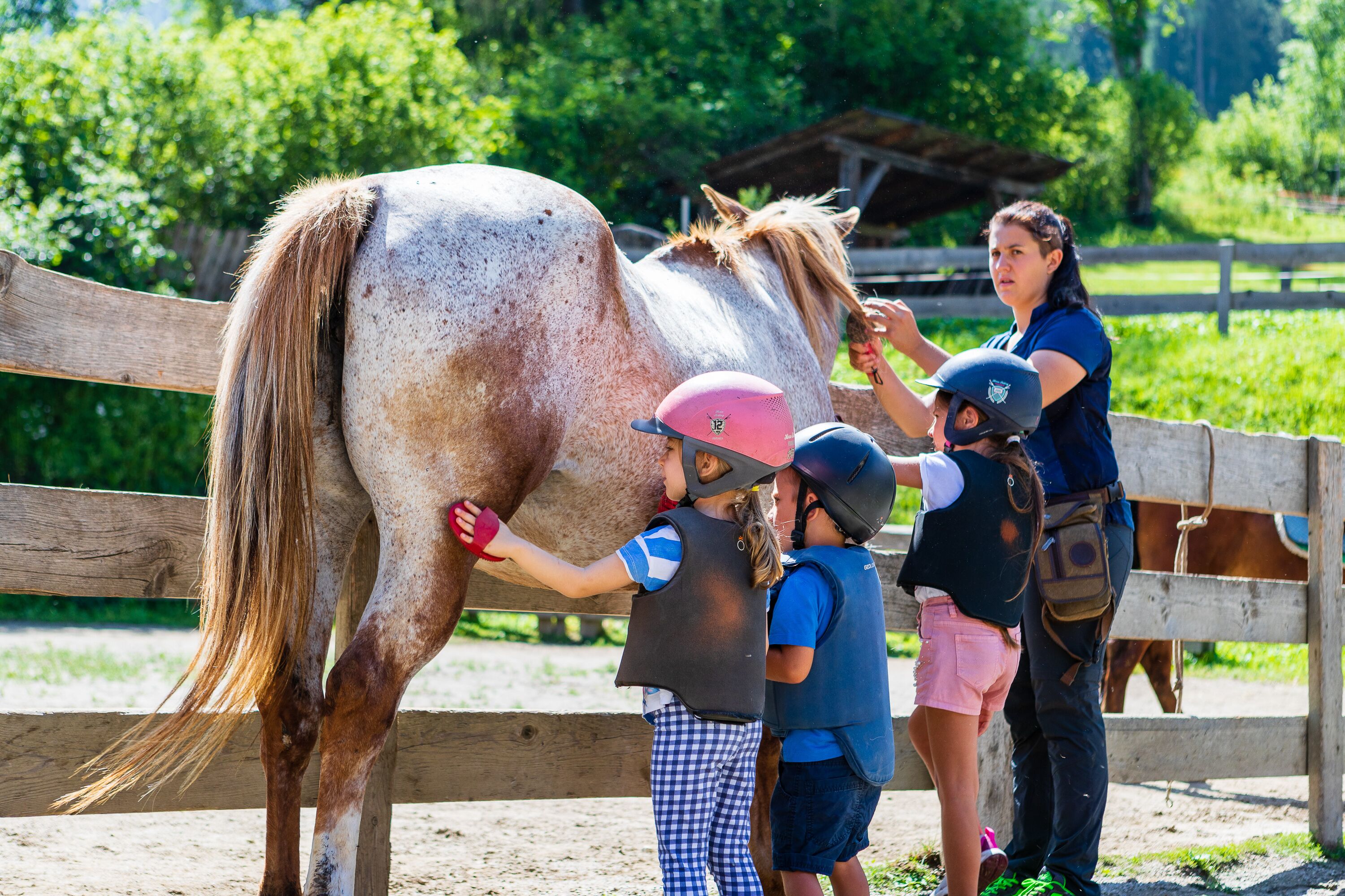 Un écurie avec une clôture en bois, un cheval et des personnes portant des casques et des gilets de sauvetage.