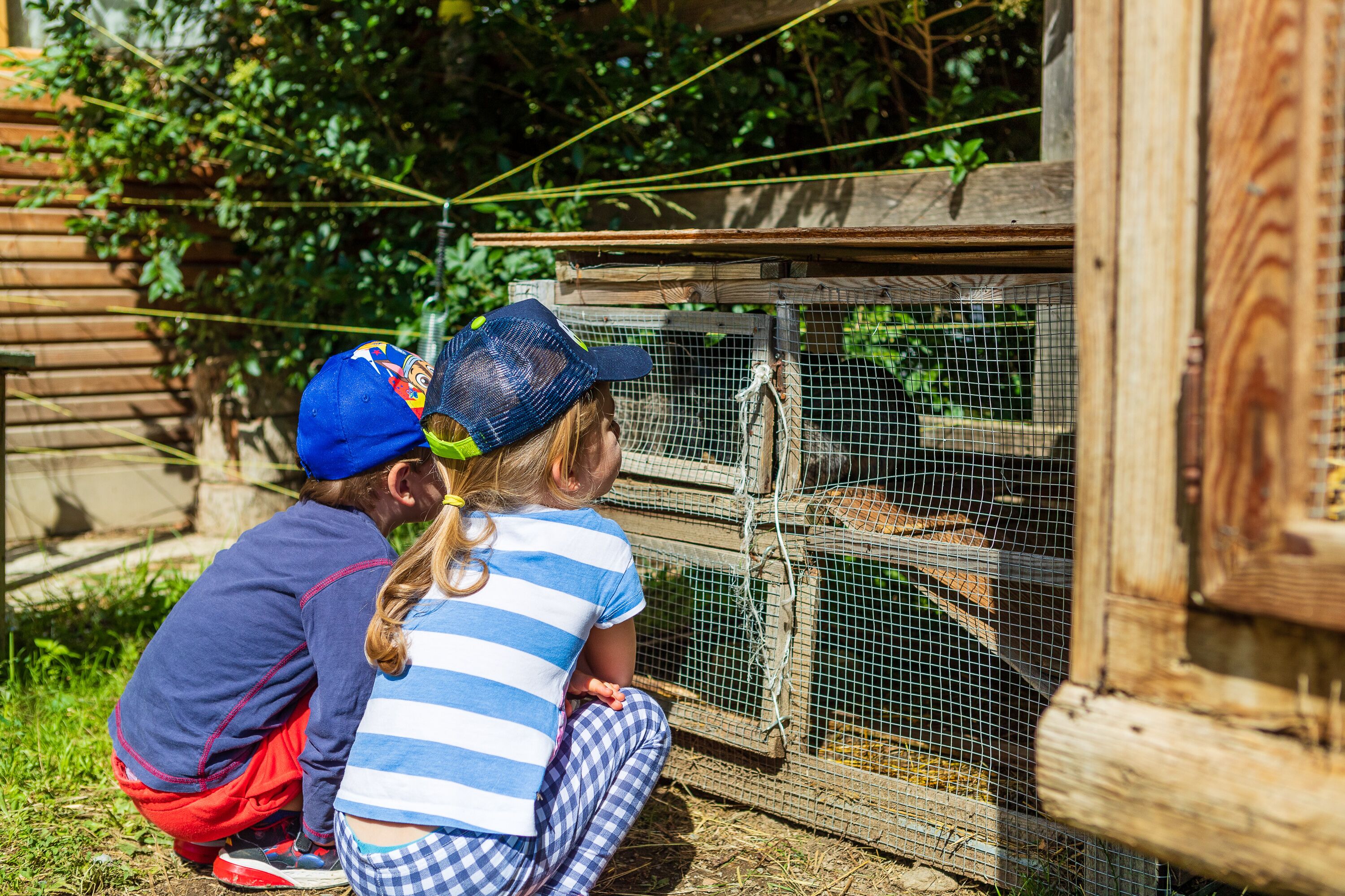 Two children observing animals through a wooden enclosure with a wire mesh.