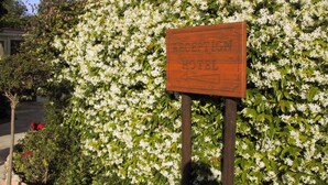 Une enseigne en bois sur laquelle on peut lire « RÉCEPTION HÔTEL », placée sur un fond de fleurs blanches et de verdure.