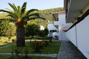 Property grounds - Afroditi (Skopelos)