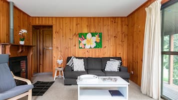 Flat-screen TV, fireplace, DVD player