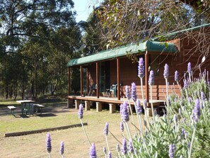 Uma cabana de madeira com varanda, rodeada por árvores e plantas de lavanda.