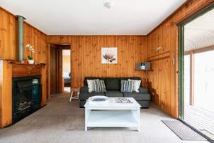 Televisión de pantalla plana, chimenea, reproductor de DVD