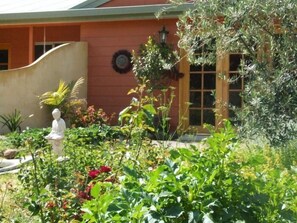 Garden - Fernmark Inn (Brogo)