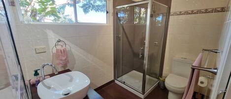 A bathroom with a white sink, glass shower enclosure, and a toilet.