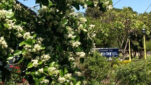 A motel sign with a welcoming message, surrounded by lush greenery and flowering plants. - Boggabilla Motel (Boggabilla)
