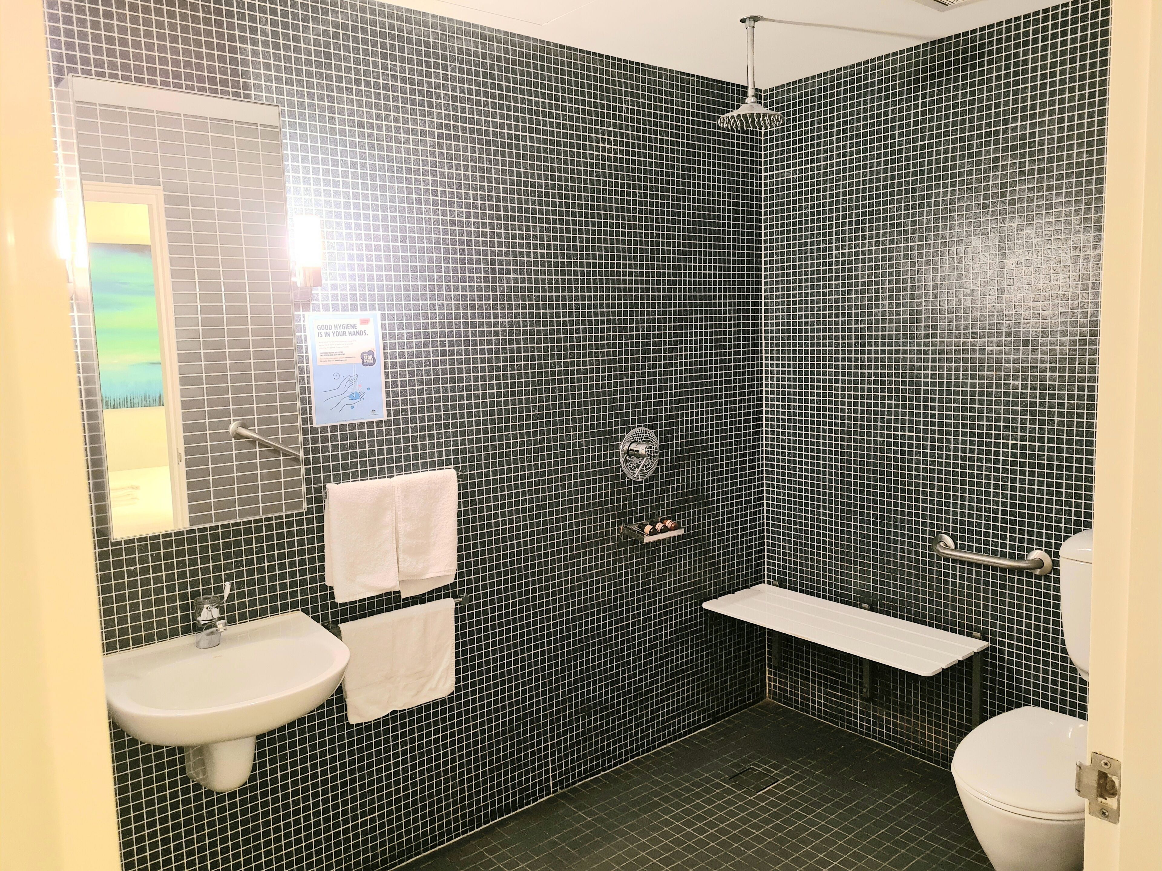 accessible queen (no window) | bathroom shower