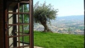 An open wooden door leading to a room with a view of a tree and a landscape.