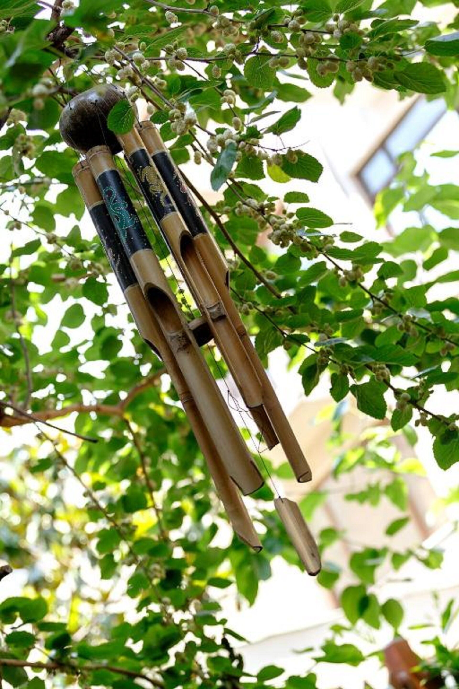 Photo - Hush Hostel Lounge