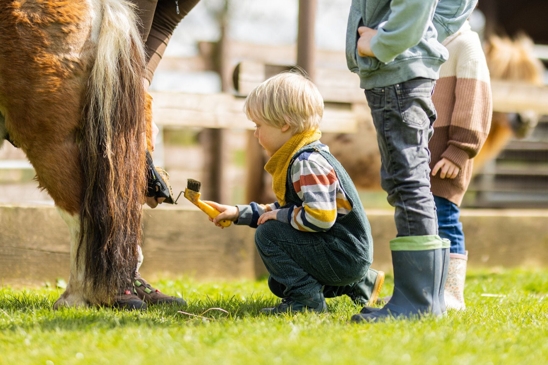 A child interacting with a horse, with an adult standing nearby.