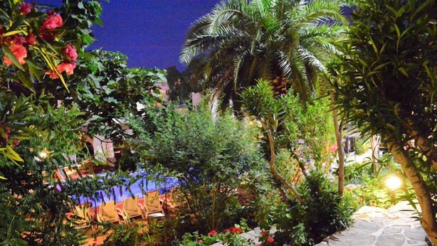 A garden with a stone pathway, various plants, and a pool area. - Bodrum Park Hotel (Bodrum)