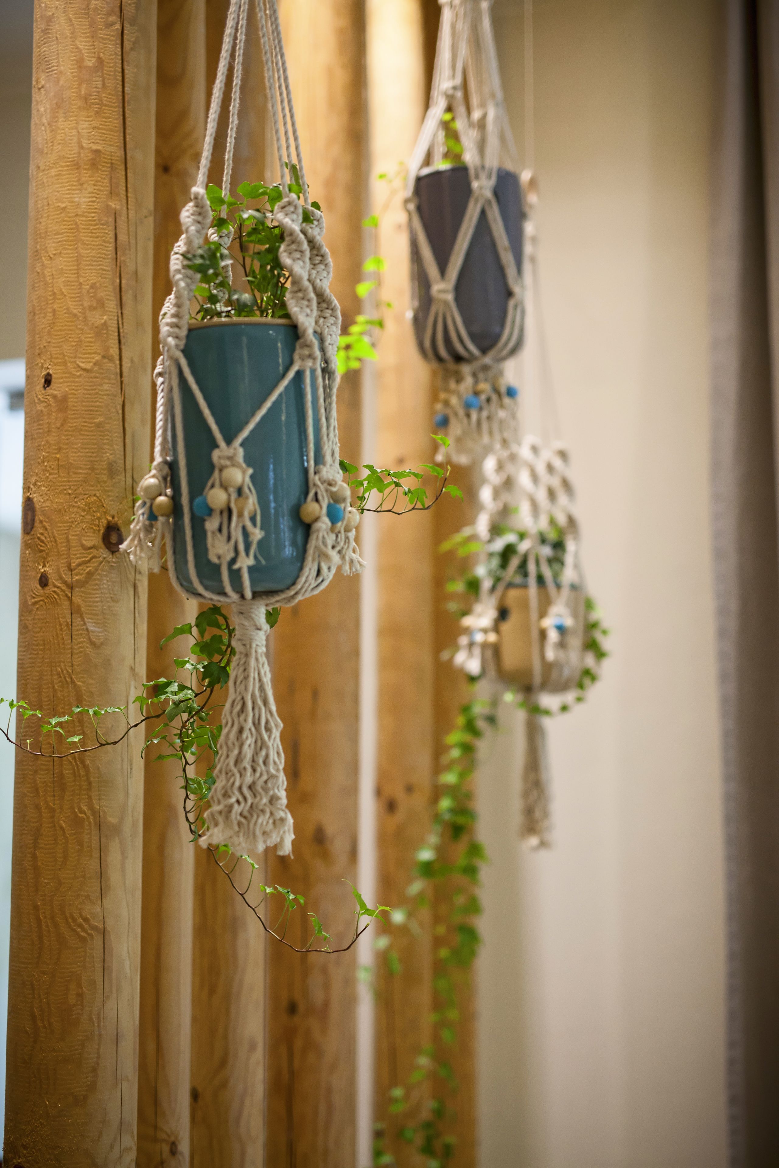 Macetas de macramé con plantas colgando de vigas de madera.