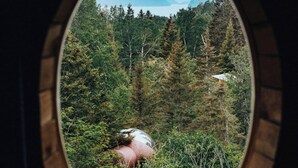Vista a través de una ventana circular con marco de madera, sobre un área boscosa con una estructura rosa a la distancia.