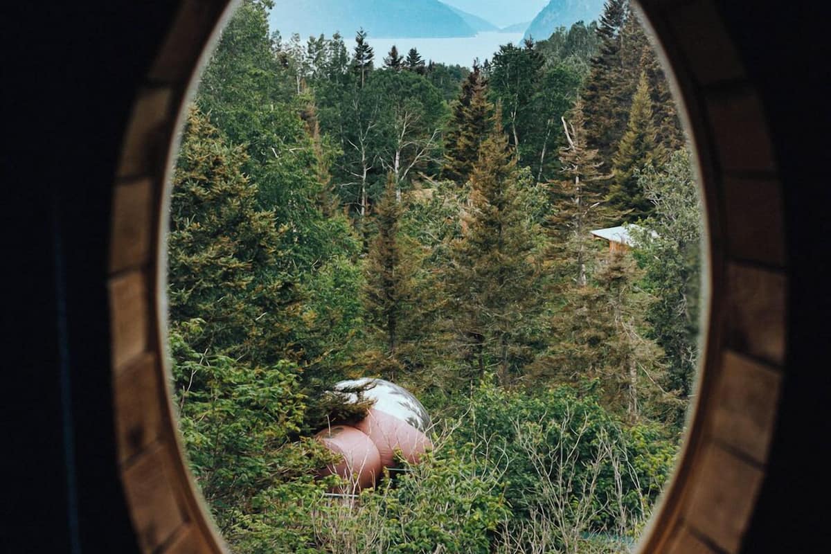 A view through a circular window with a wooden frame, overlooking a forested area with a pink structure in the distance.