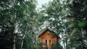 Una cabaña de madera rodeada de un bosque denso.