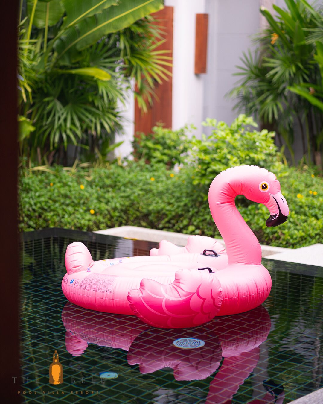 A pink flamingo inflatable in a pool surrounded by lush greenery.