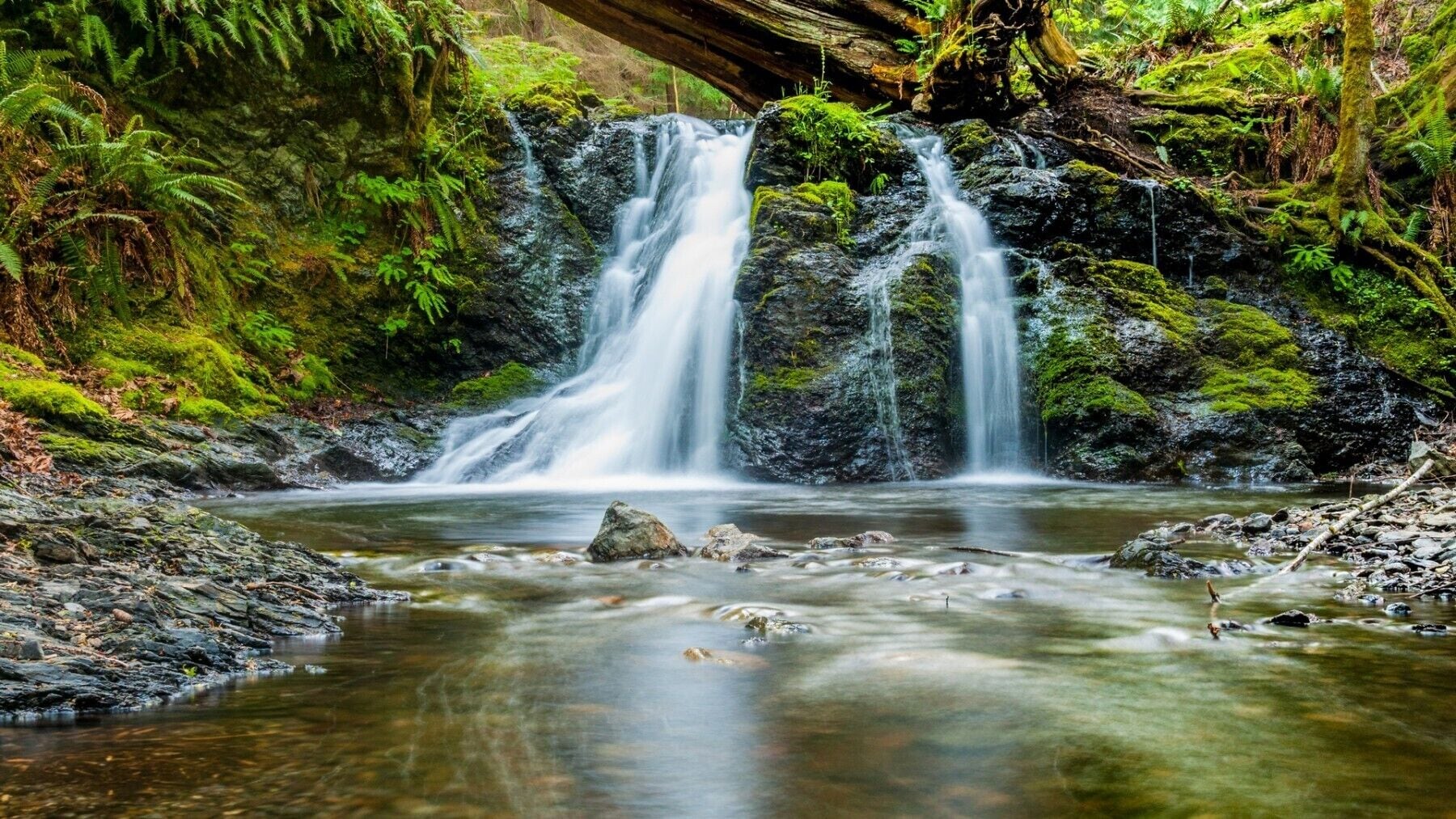 Una cascada se precipita sobre rocas hacia un arroyo cristalino, rodeado de abundante vegetación.
