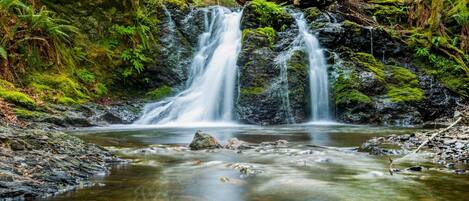 Una cascada se precipita sobre rocas hacia un arroyo cristalino, rodeado de abundante vegetación.