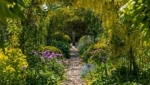 Garden - Barnsley House Hotel (Cirencester)