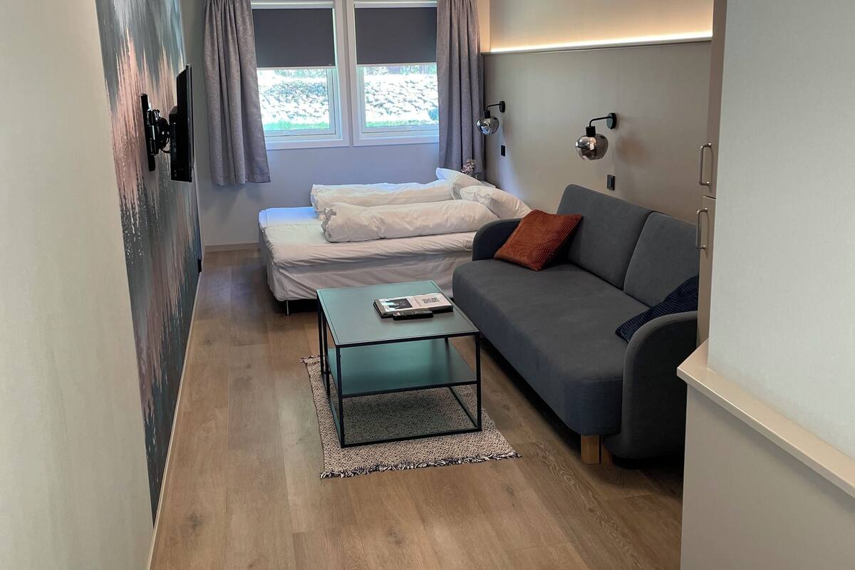 Una habitación moderna y luminosa con una cama, un sofá y una mesa de centro. Cuenta con ventanas con cortinas, un televisor de pantalla plana en la pared y una lámpara fijada a la pared.