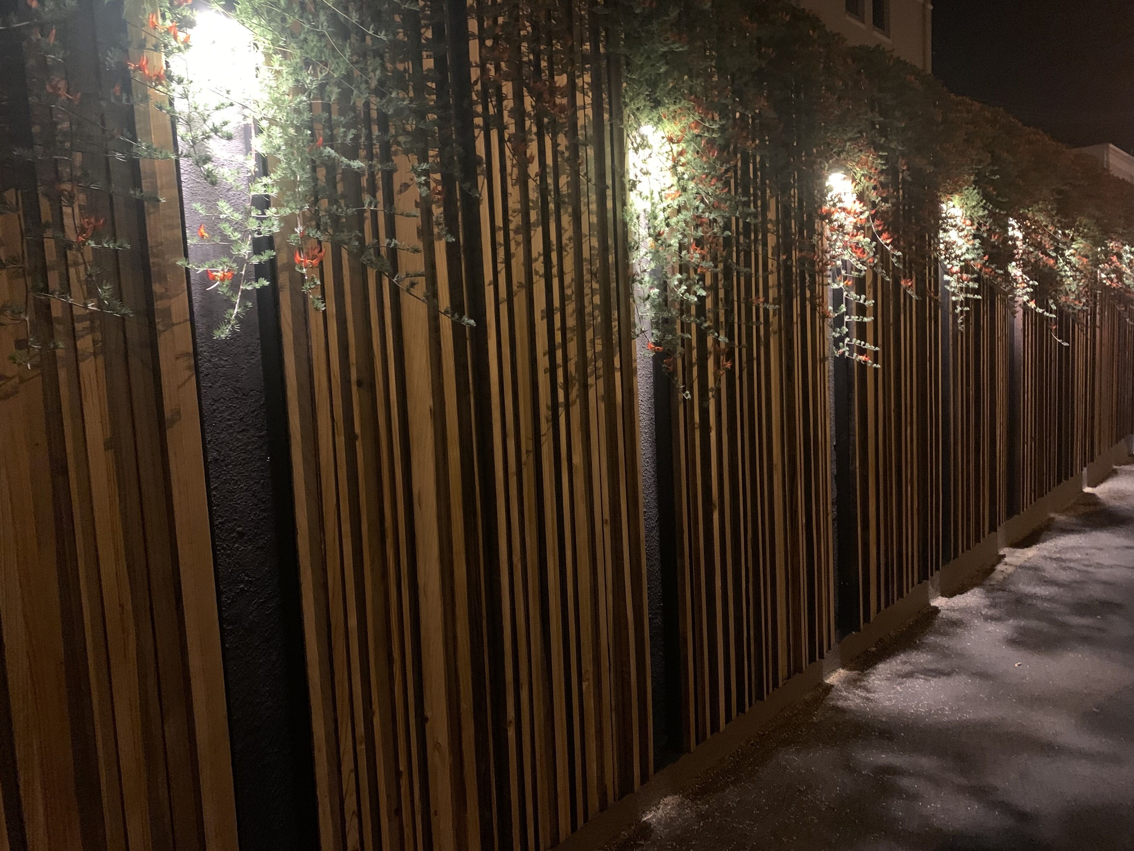 Foto - Mountview Guest House