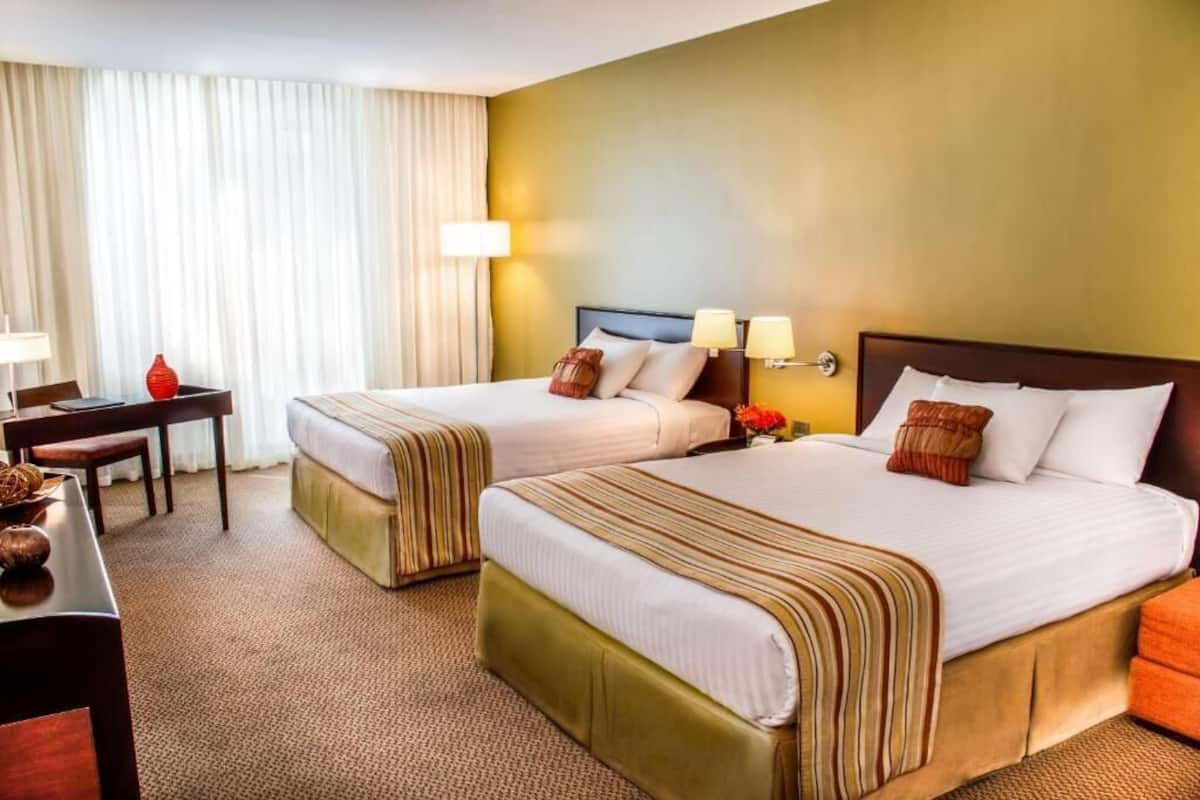 Classic Double Room, City View | 1 bedroom, down duvets, minibar, in-room safe