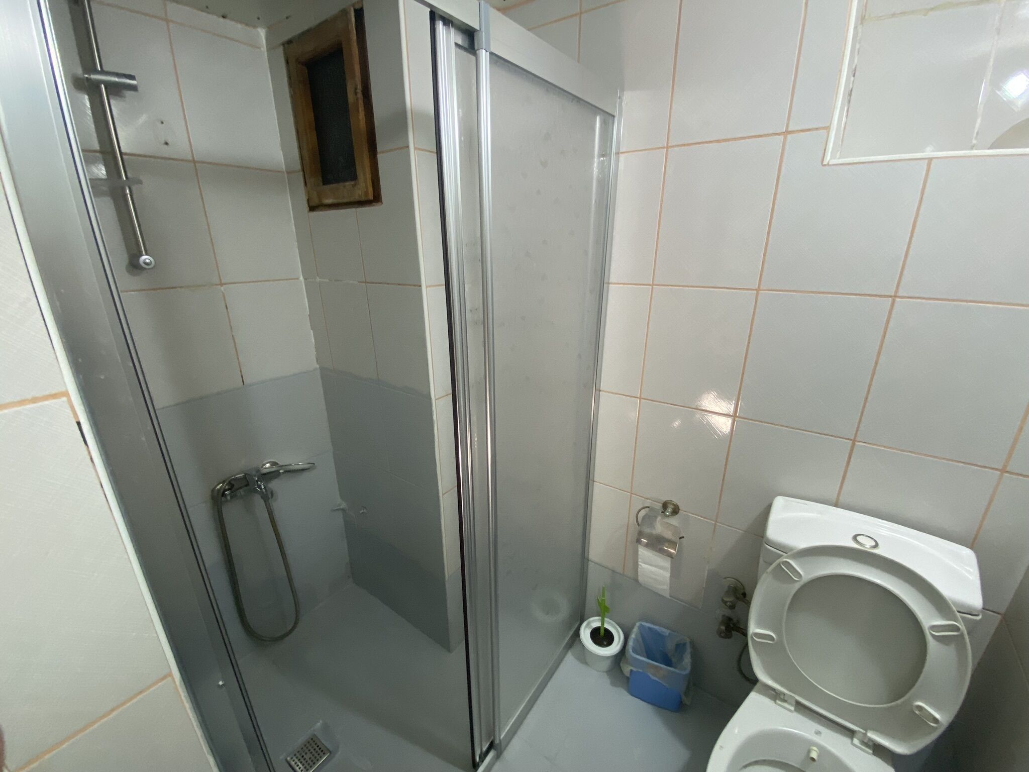 Een badkamer met een glazen douchecabine, een toilet en een kleine prullenbak.