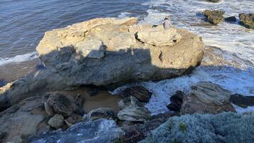 A rocky coastal landscape with large boulders and a sandy beach.