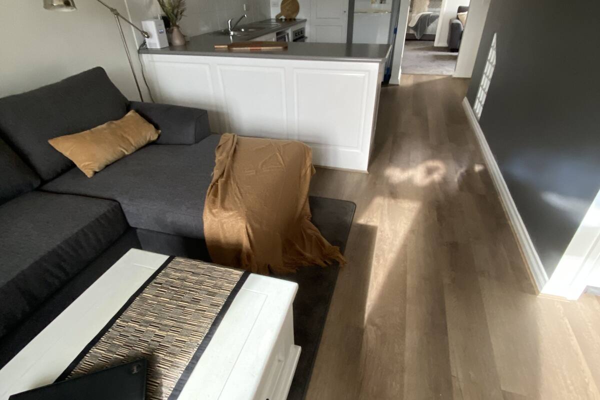 1 bedroom apartment  (unit 6) | living area | 42-inch smart tv with digital channels, dvd player