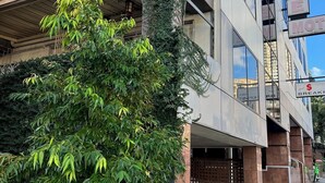 A multi-story building with a brick facade, a tree with green leaves, and a clear blue sky.