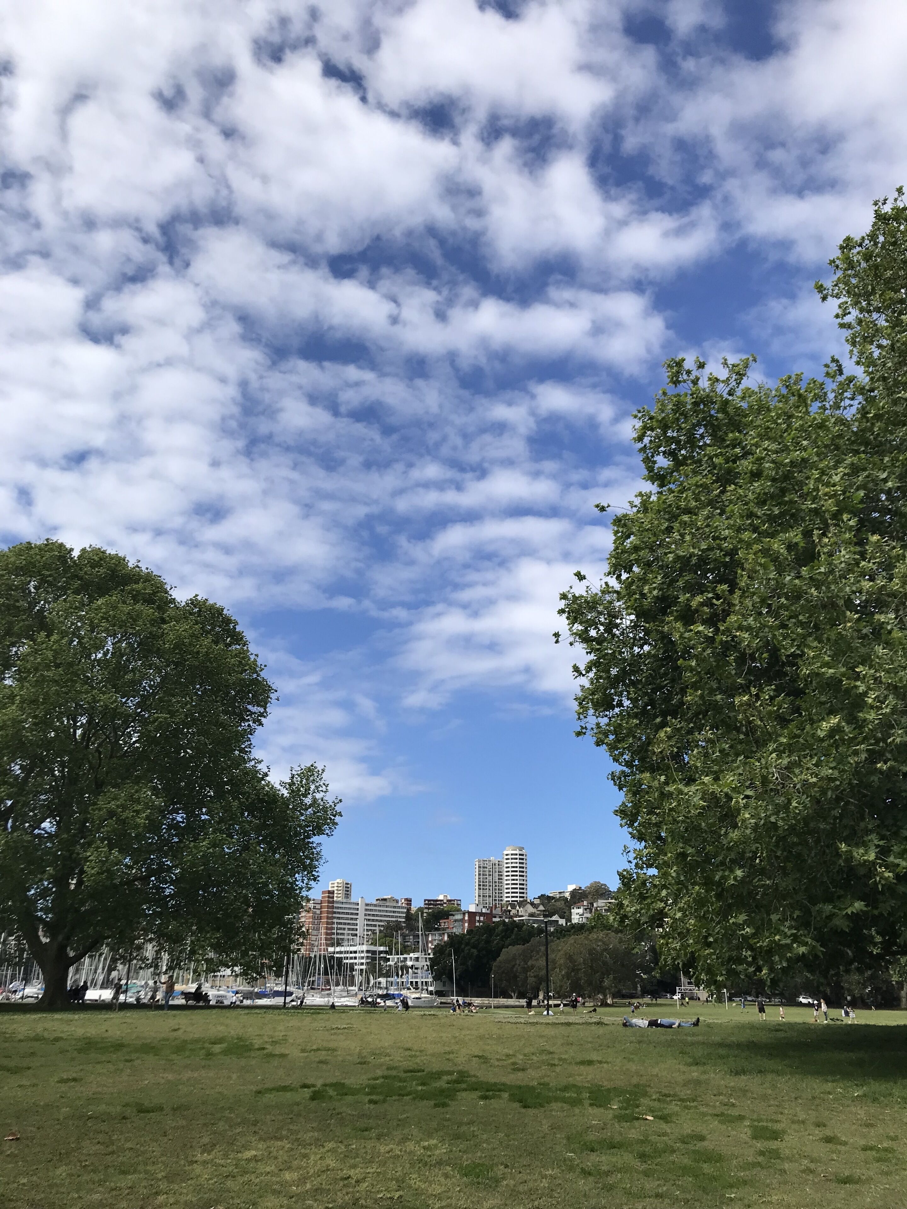 Een park met open groene velden, bomen en een verafgelegen stadsgezicht met gebouwen.
