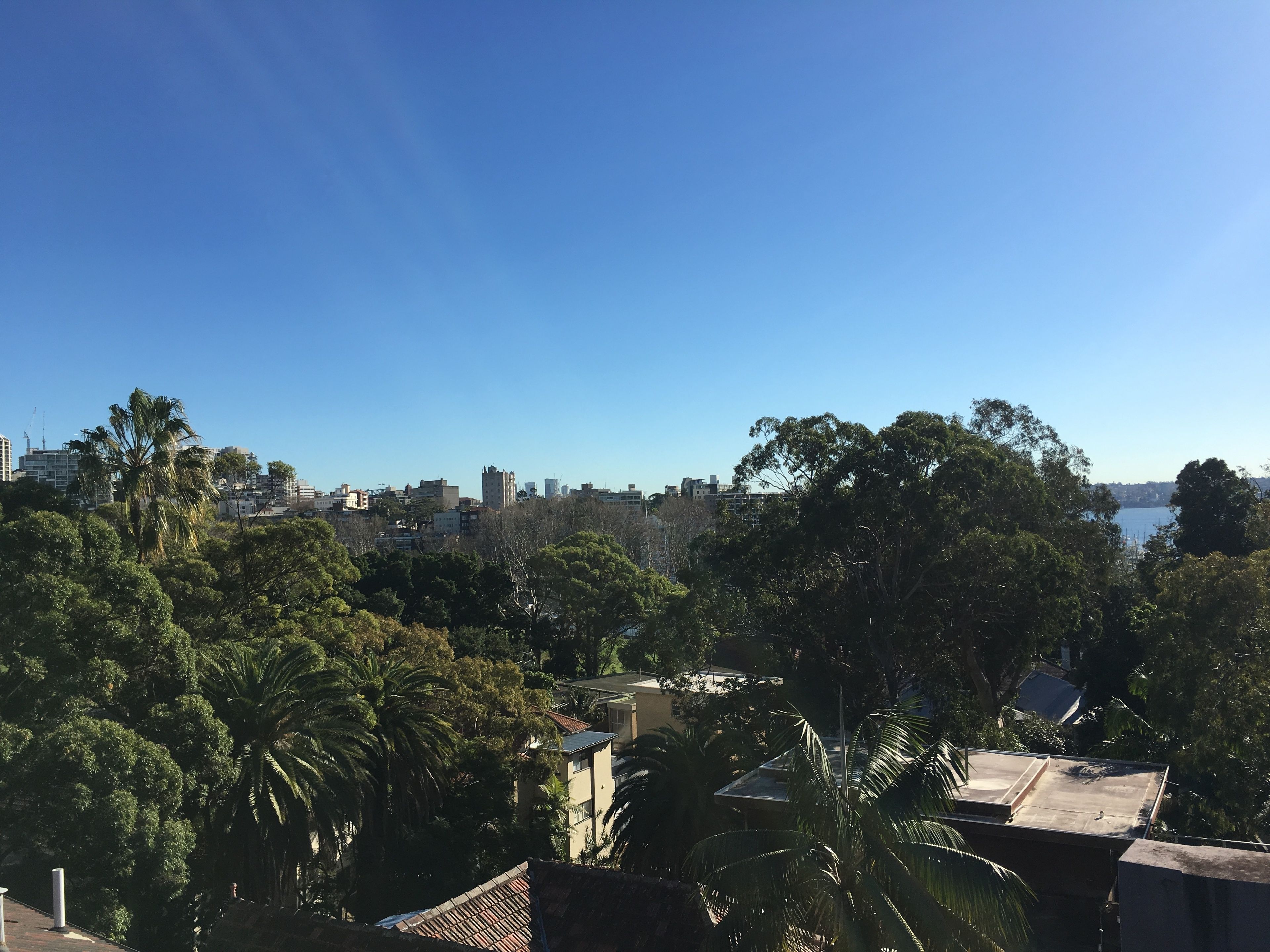 Photo - Edgecliff Lodge Motel