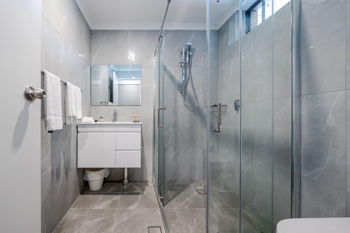 shower, free toiletries, hair dryer, towels