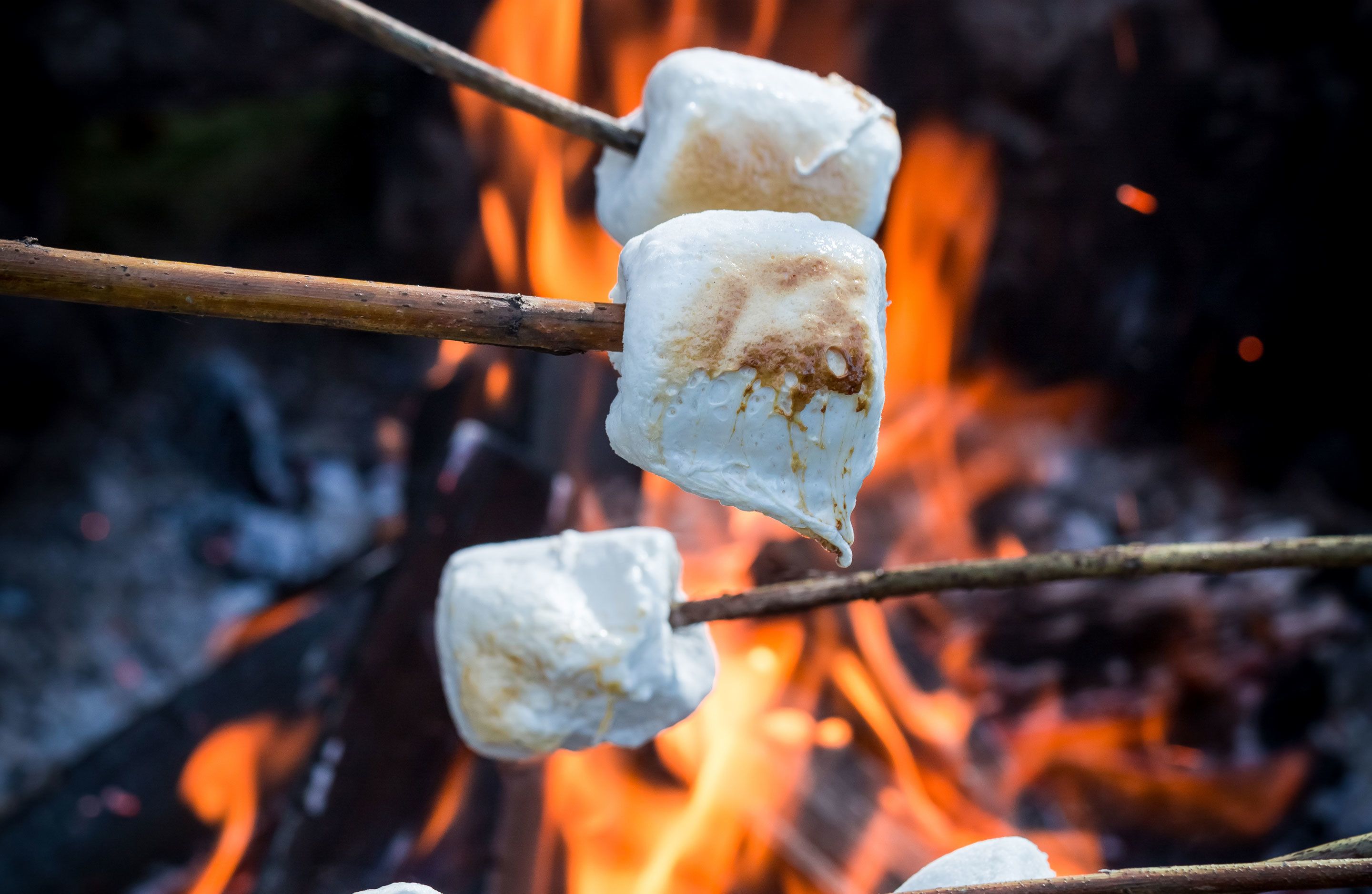 Marshmallows werden über offenem Feuer geröstet.