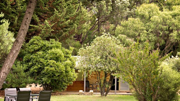 Un patio con mobiliario exterior, una terraza de madera y un pequeño edificio con puerta y ventanas.