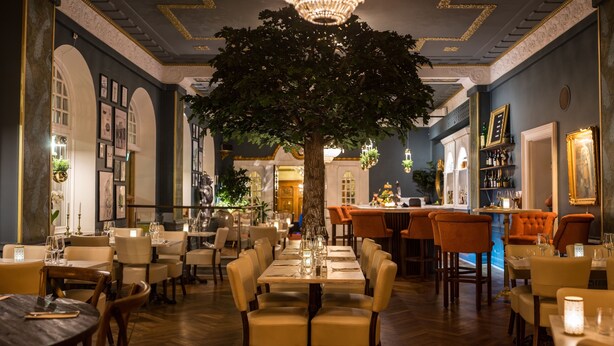 Um restaurante com uma árvore central, mesas com cadeiras e um espaço de bar.
