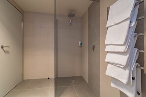 Shower, free toiletries, hair dryer, towels - The Argosy (East Devonport)