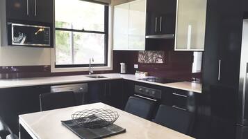 Großer Kühlschrank, Mikrowelle, Herdplatte, Geschirrspüler