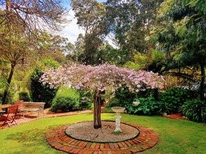 View from property - Adamsons Riverside Accommodation (Margaret River)