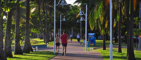 A pathway lined with palm trees and street lamps, leading towards a distant building.