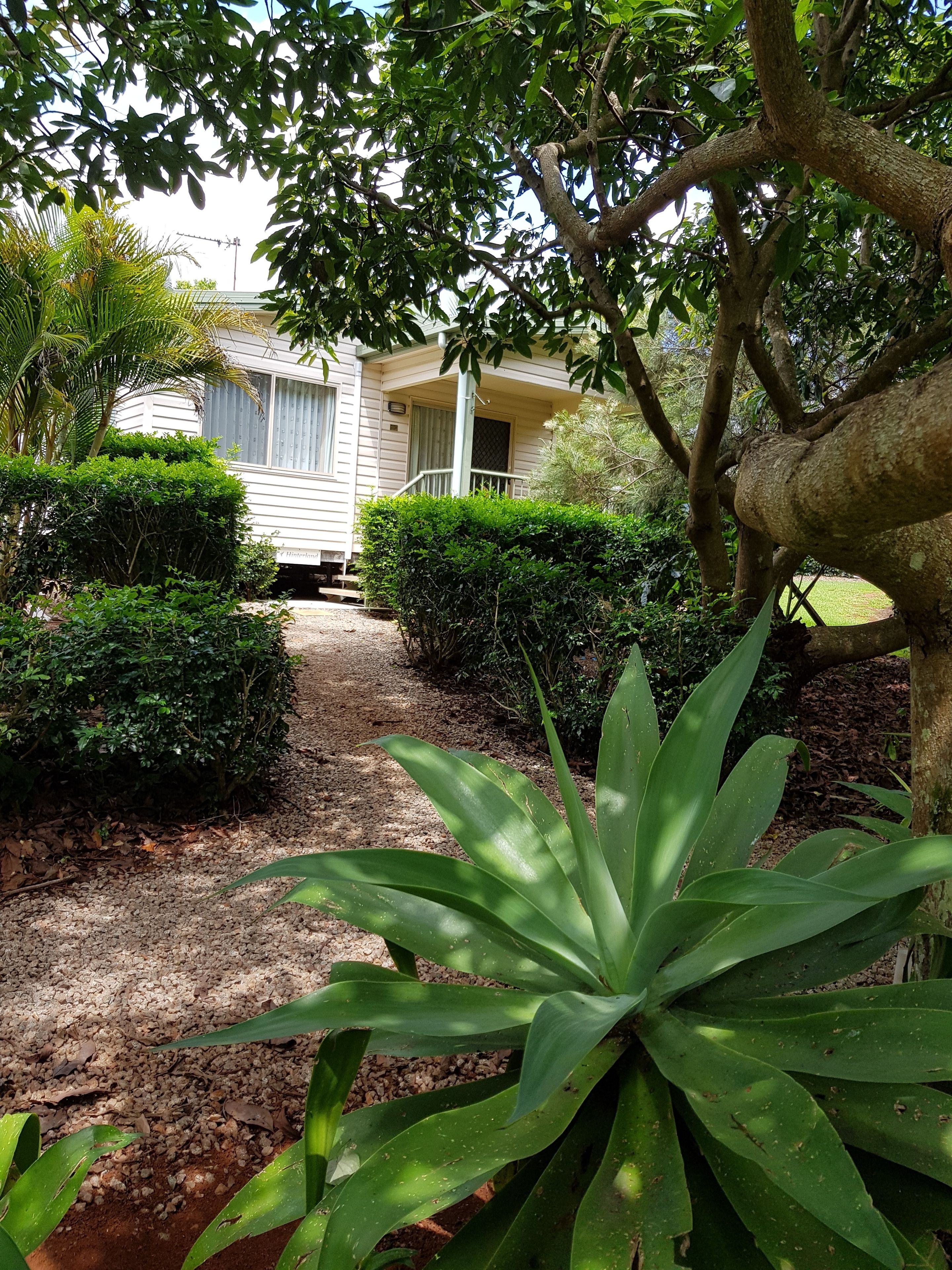 A pathway leading to a white building with a porch, surrounded by well-maintained hedges and a large tree.