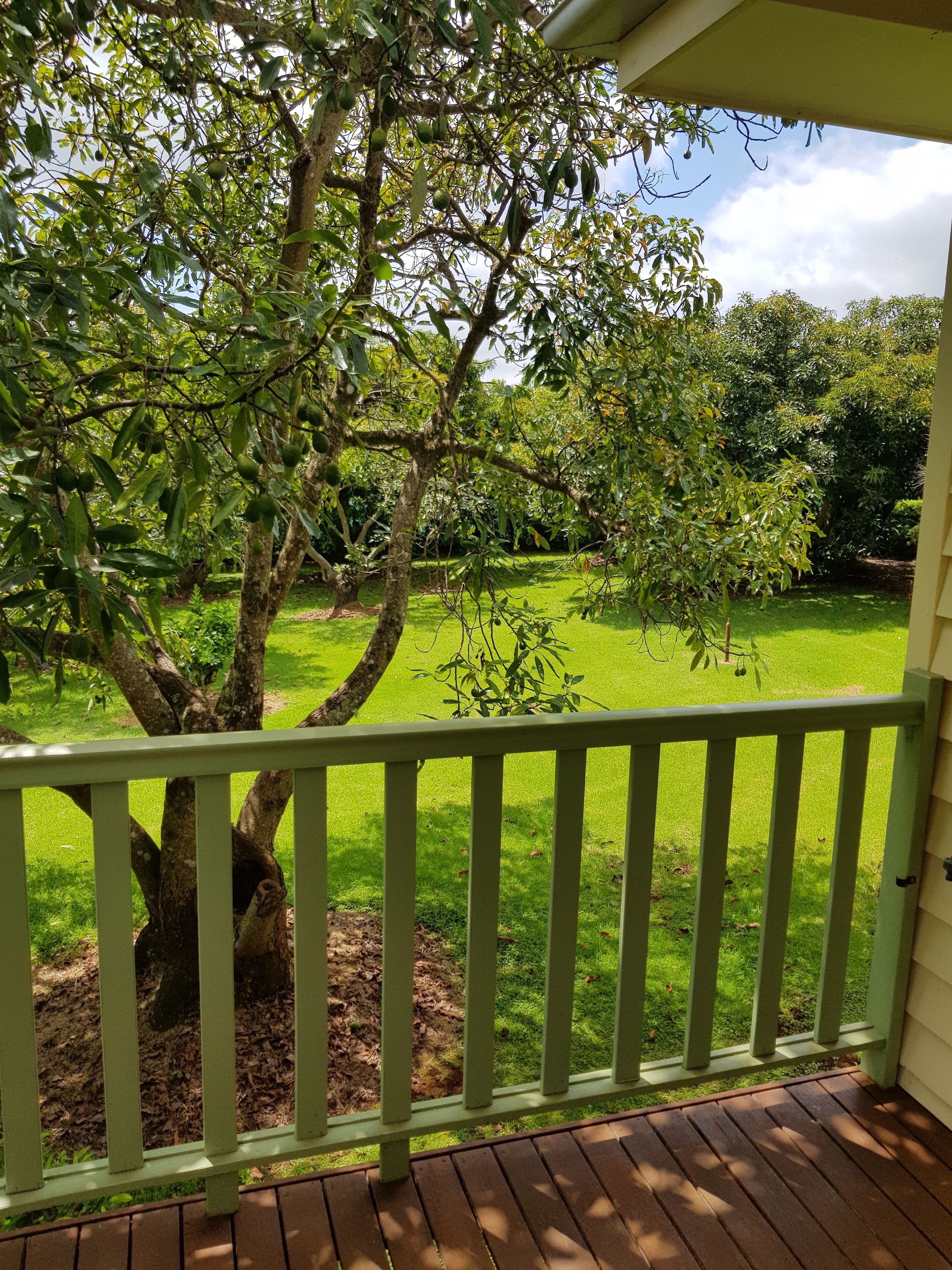 Una terraza de madera con barandilla verde que da a un césped y árboles bien cuidados.